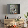 Wall Mounted Double Door Mirror Cabinet with Iron Frame and Storage Shelves Green Black